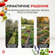 Садова теплиця | 6 м&sup2; | 300&times;200&times;200 см | сталевий оцинкований каркас | VOLSO POLSKA 2929193675 фото 5